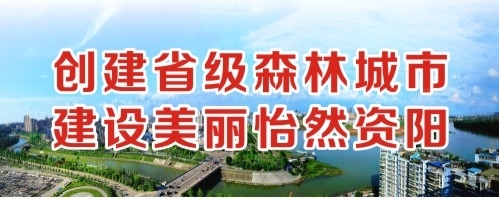 小哥哥的打几把插进小姐姐的抠逼里创建省级森林城市 建设美丽怡然资阳